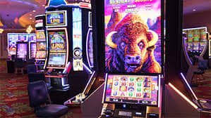Panorama sports and live casino experience on pacutogel